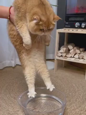 PetSpa Grooming Brush